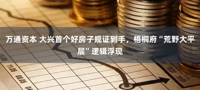 万通资本 大兴首个好房子规证到手，梧桐府“荒野大平层”逻辑浮现