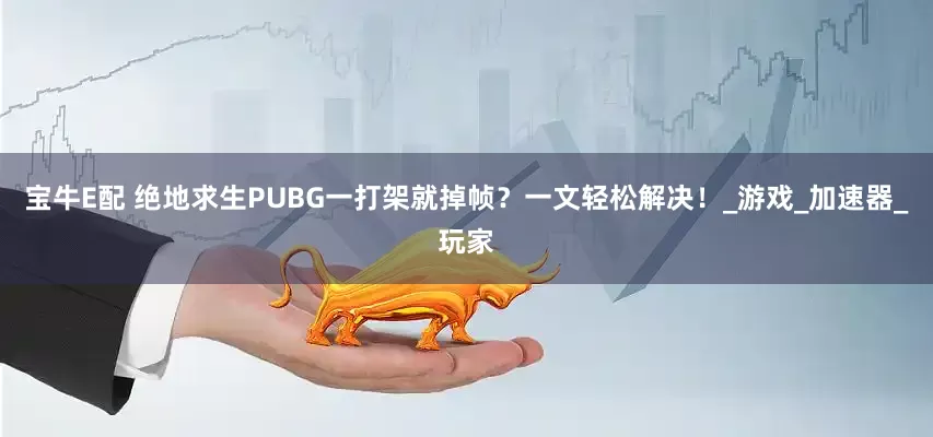 宝牛E配 绝地求生PUBG一打架就掉帧？一文轻松解决！_游戏_加速器_玩家