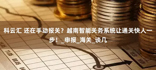 科云汇 还在手动报关？越南智能关务系统让通关快人一步！_申报_海关_谈几