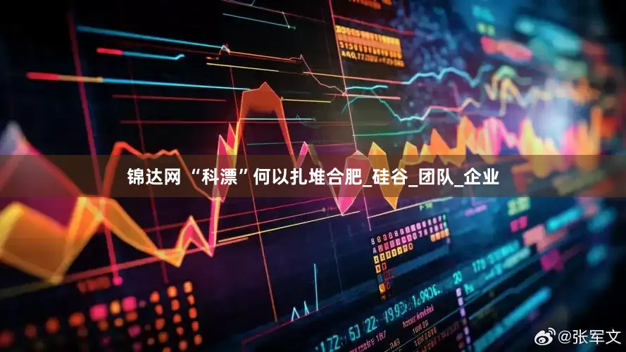 锦达网 “科漂”何以扎堆合肥_硅谷_团队_企业