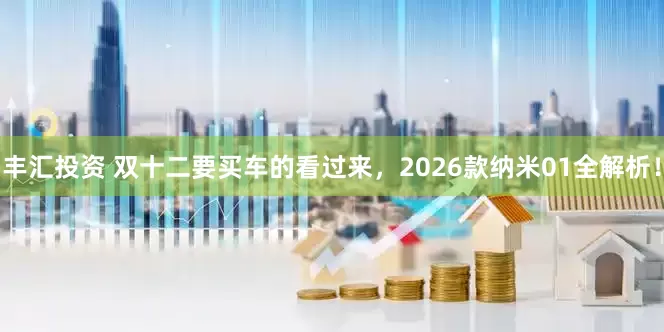 丰汇投资 双十二要买车的看过来，2026款纳米01全解析！